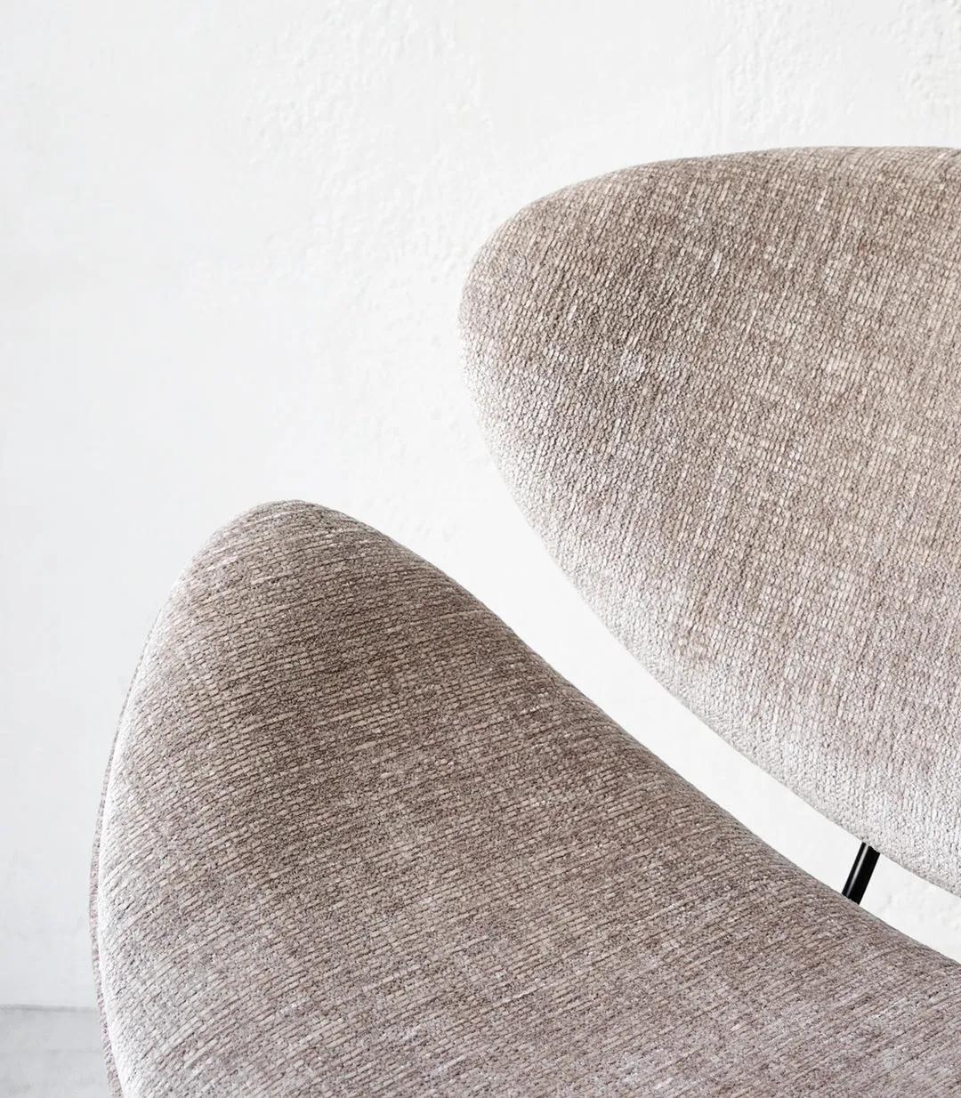 'Florence' Chair / Amore / Carrera